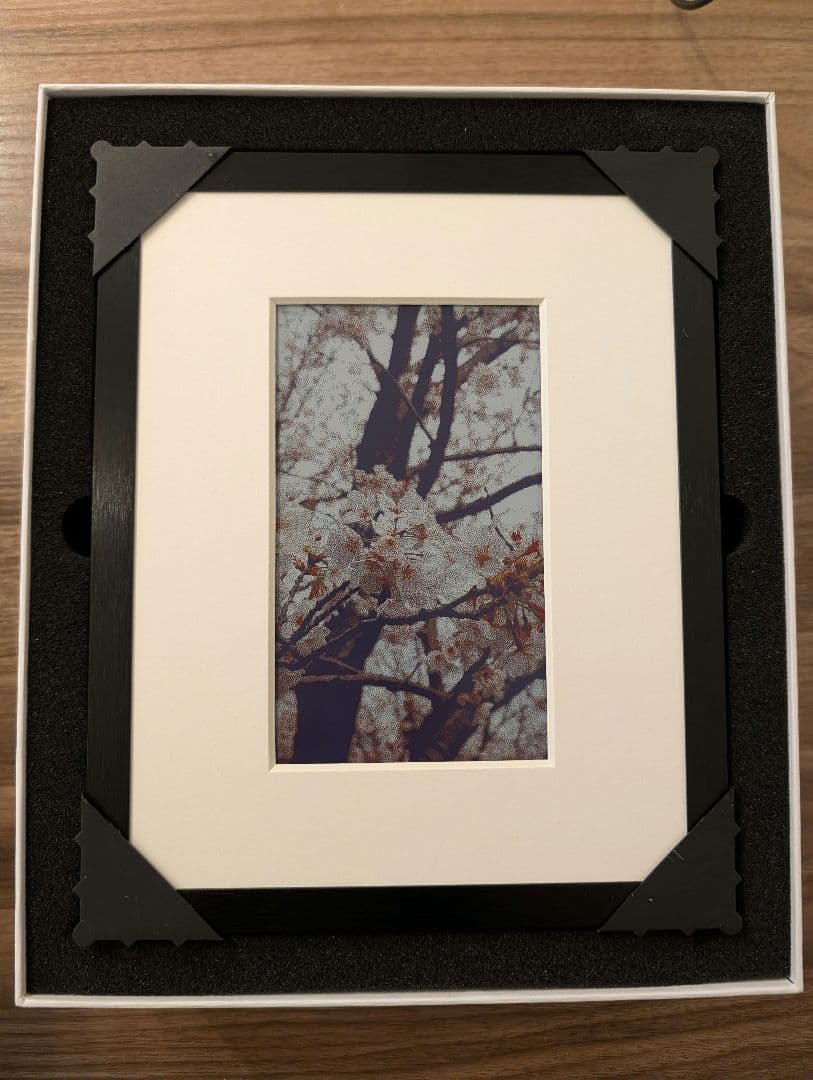 SwitchBot AIアートキャンバス 7.3インチ