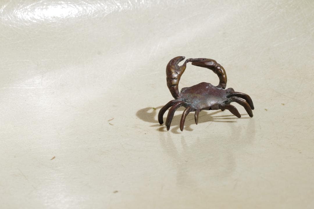 Small Crab 　カニ　ミニチュア
