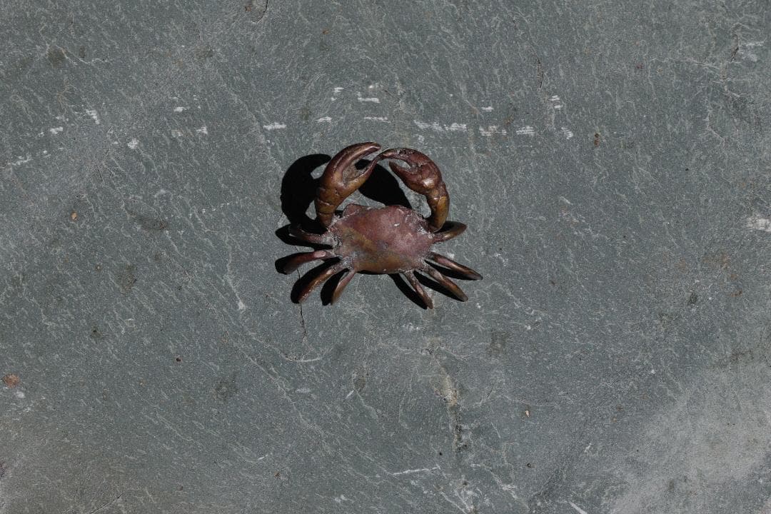 Small Crab 　カニ　ミニチュア