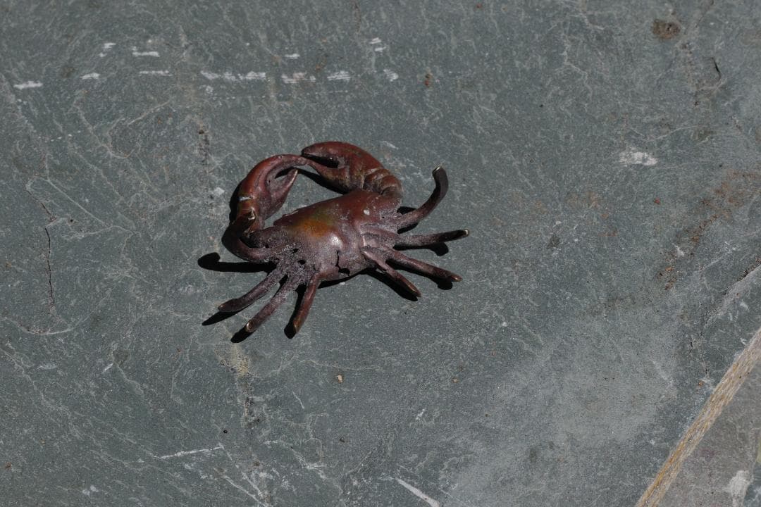 Small Crab 　カニ　ミニチュア
