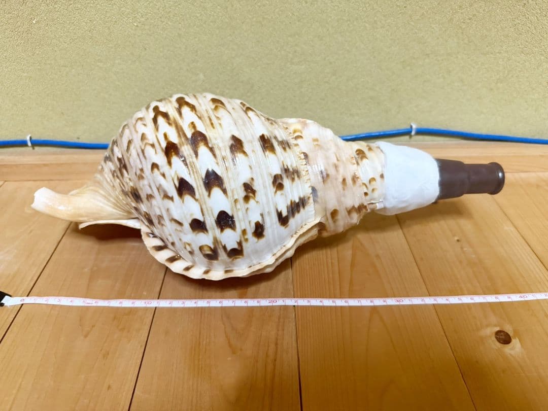 特大40㎝修験道法螺貝 山伏 ほら貝、ホラガイ 木製歌口