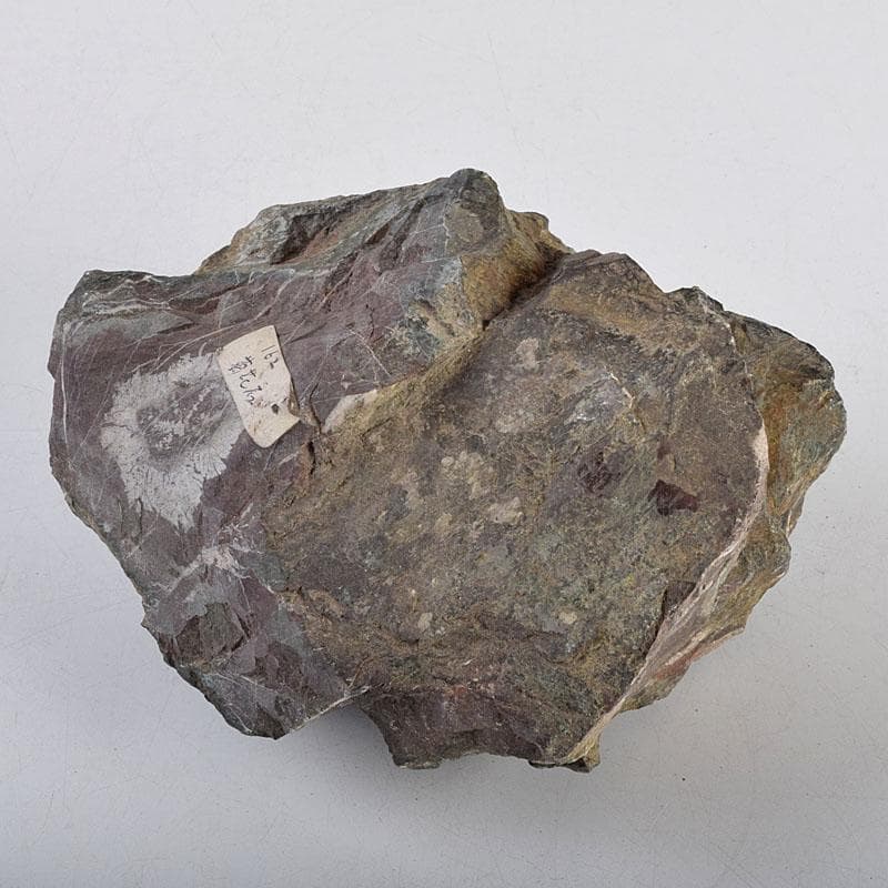 天然石　鑑賞石　菊花石　置物　重さ約1247g　N　8897