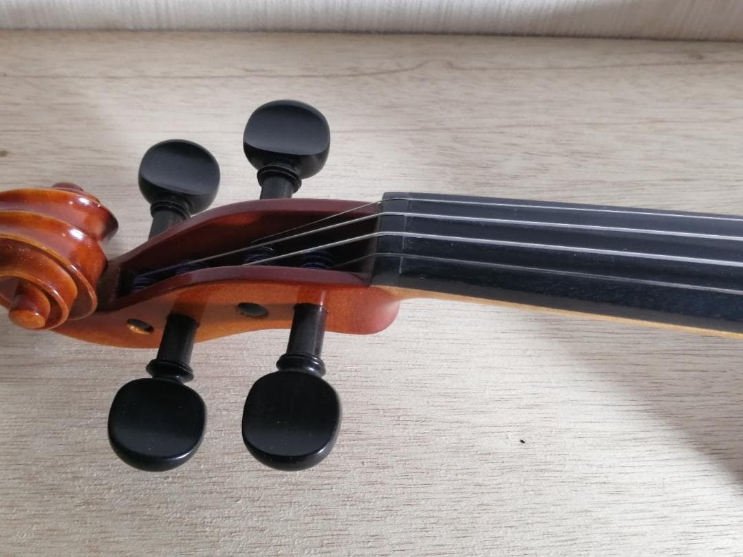 Walter Sandner ドイツ バイオリン