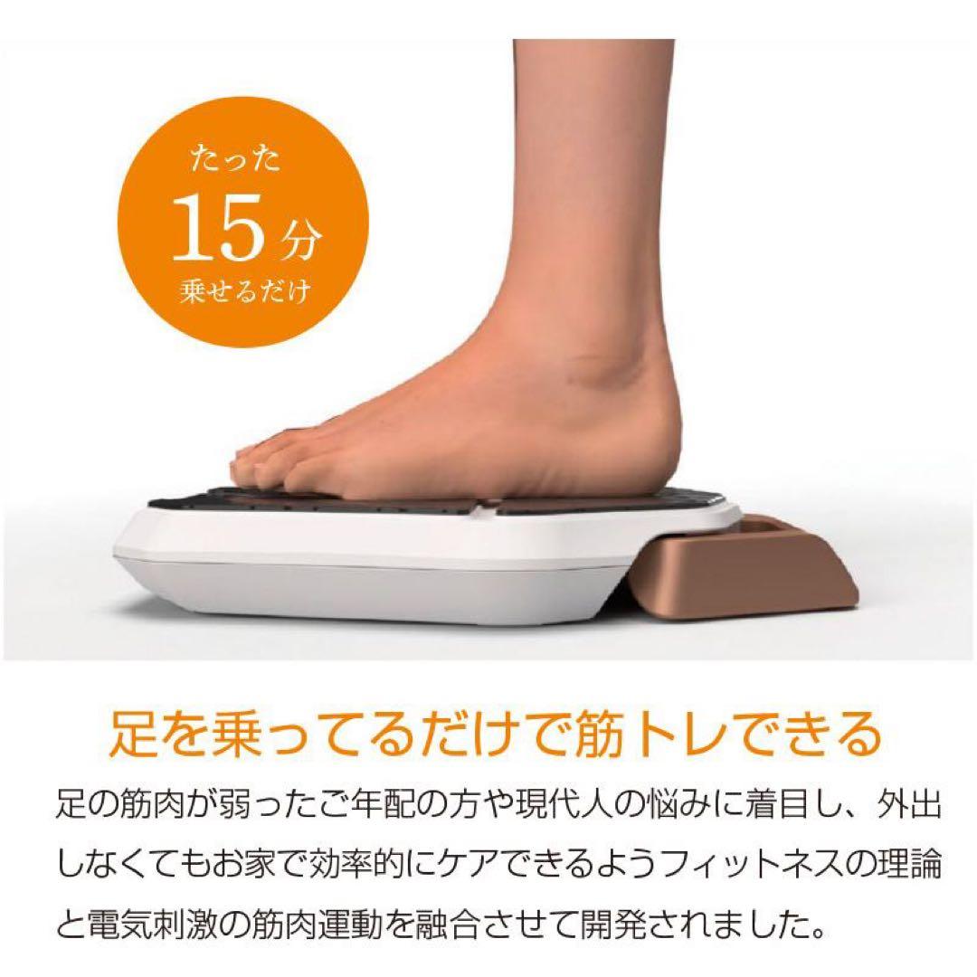 レグネススリム EMS（オマケ付き）