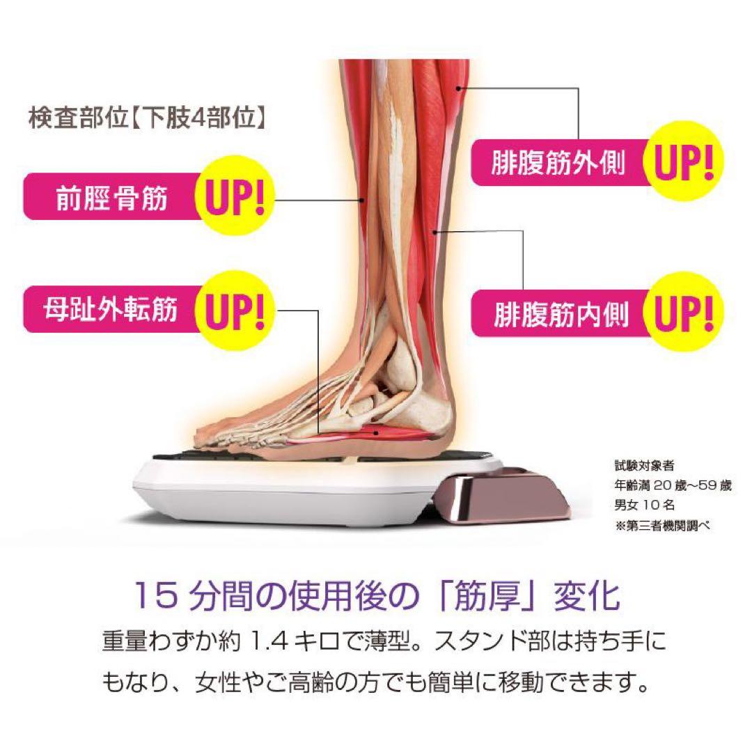 レグネススリム EMS（オマケ付き）