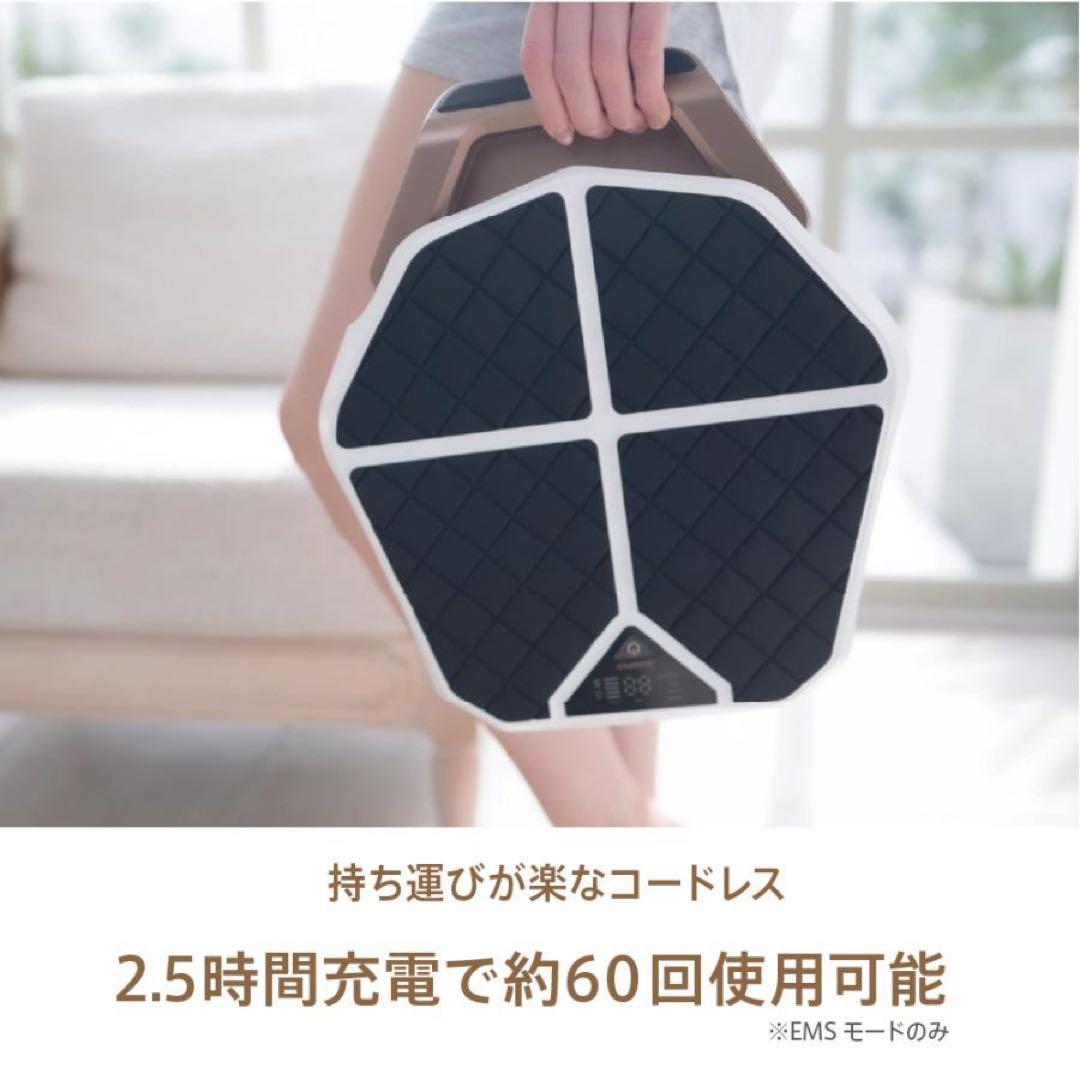 レグネススリム EMS（オマケ付き）