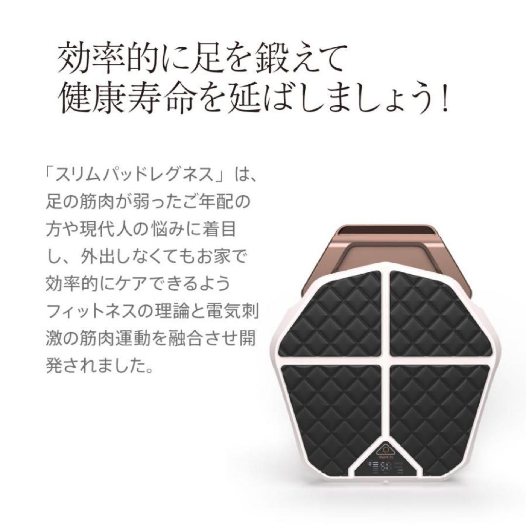 レグネススリム EMS（オマケ付き）