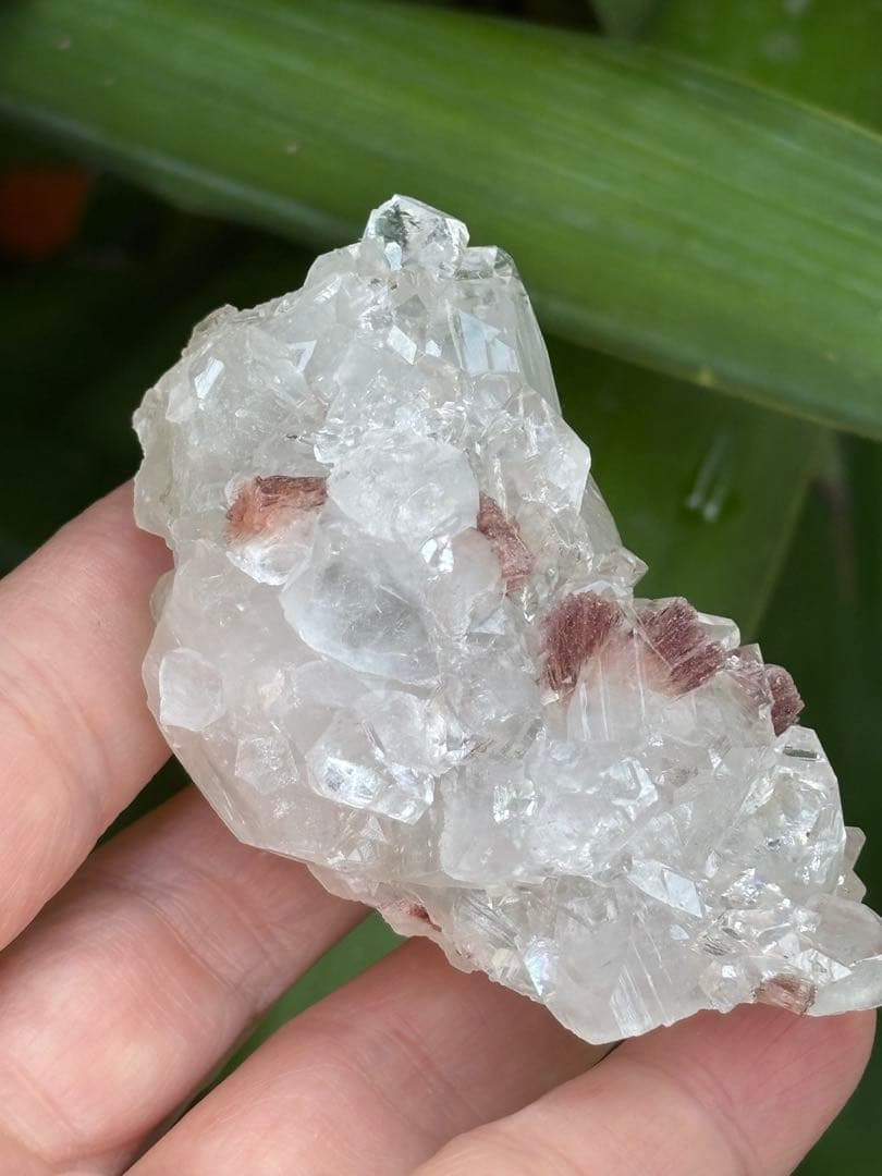 インド産　ダイヤモンドアポフィライト　ヒューランダイト共生　高品質　123g