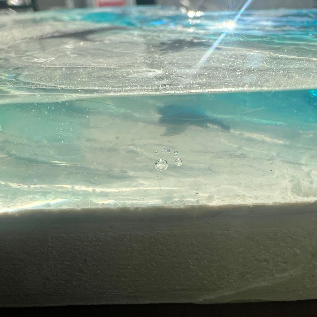 【波紋アート】ハート型／マンタの遊泳／オーシャンオブジェ／壁掛け