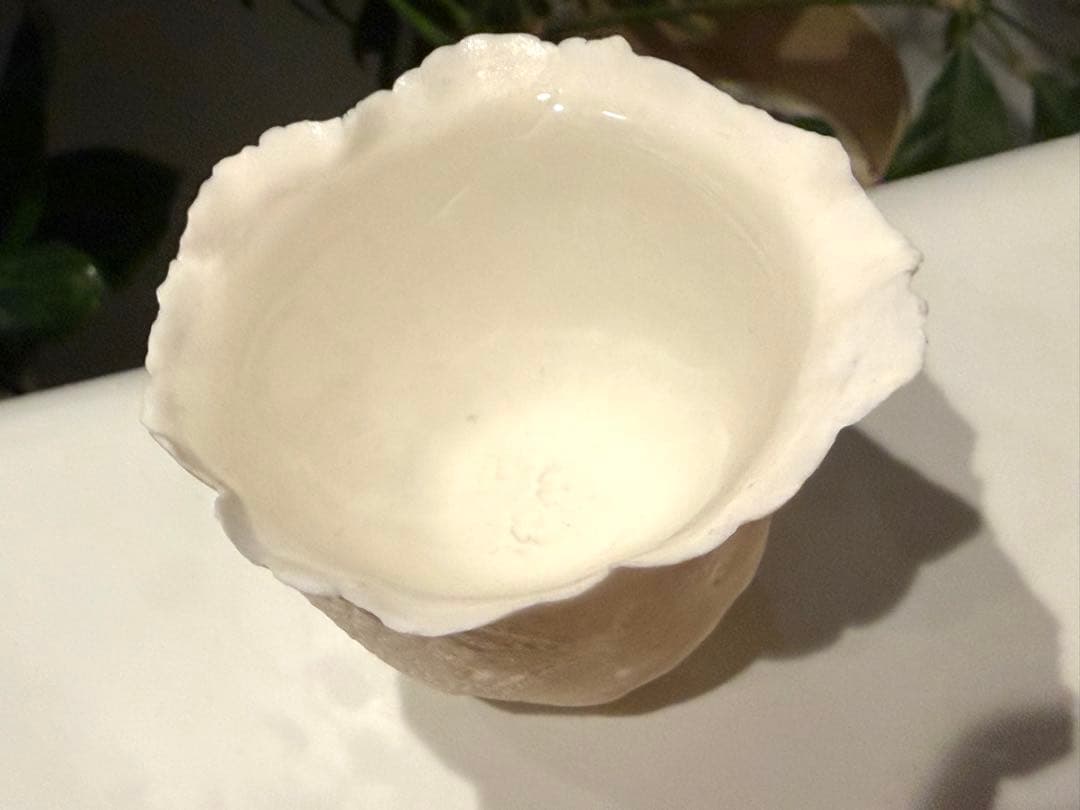 ヴァレリーカサド　繊細の極み　フレアとボタニカル意匠の美しい極薄器