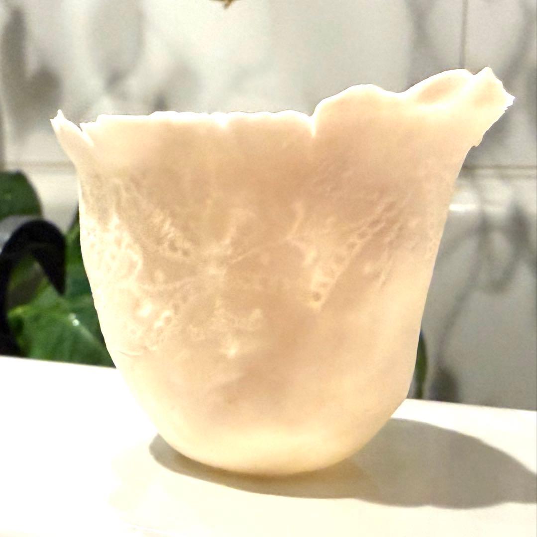 ヴァレリーカサド　繊細の極み　フレアとボタニカル意匠の美しい極薄器