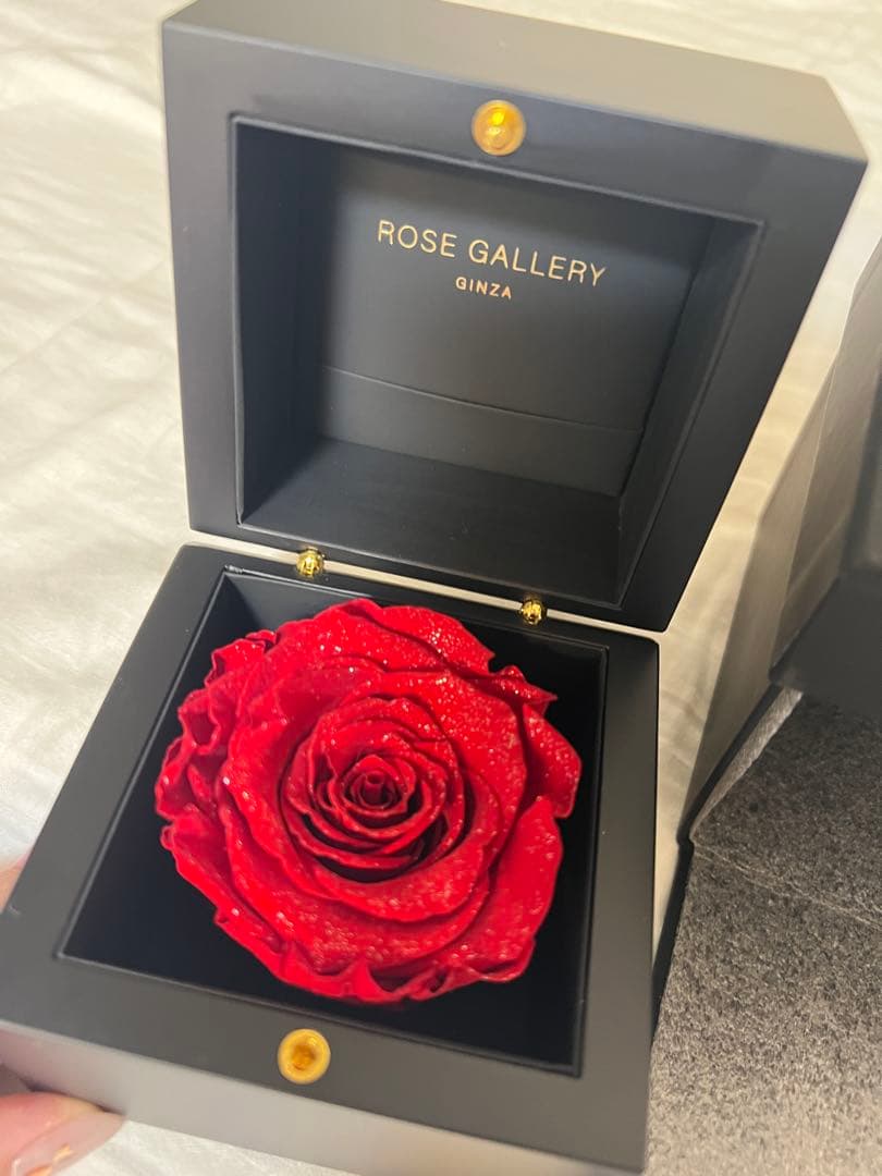 ROSE GALLERY プリザーブドローズ 赤 M