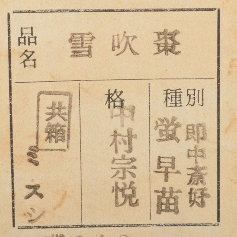 茶道具 中村宗悦作 即中斎好 螺鈿装飾 蛍早苗 雪吹棗 共箱 V 6286