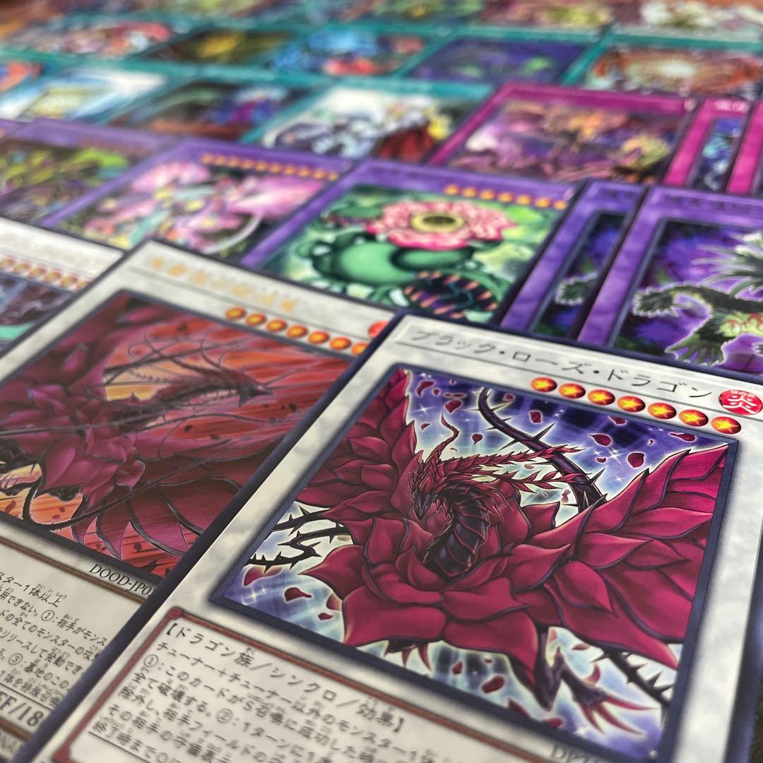 本格構築 捕食植物デッキ プレデタープランツデッキ 血樹竜姫