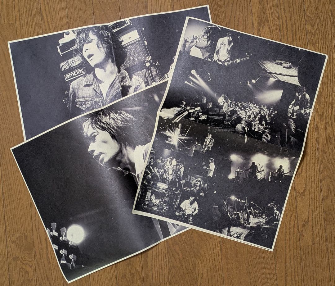 【The Birthday】　VISION　ツアータブロイド　レア