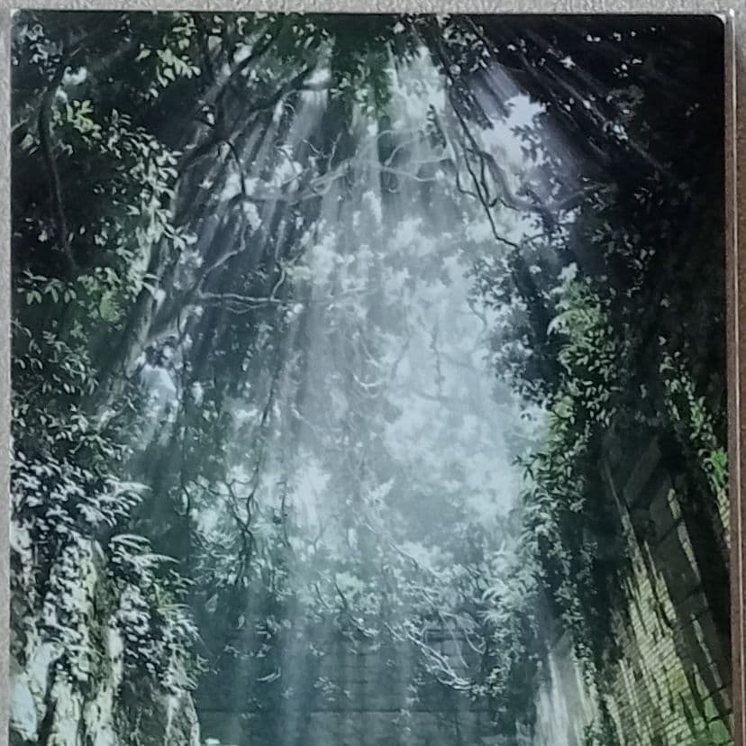 モカ展・星しるべ、クリアポスター『自然回帰』 - メルカリ