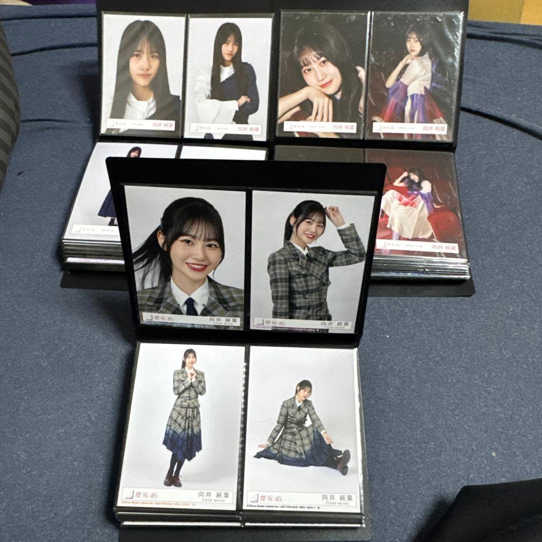 期間限定値下 向井純葉 生写真 最初期〜2025/9 フルコンプ95種 - メルカリ