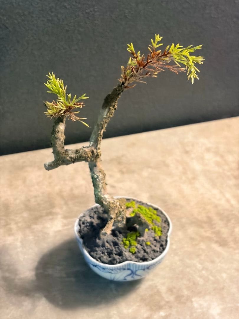 一点物】ワイヤー×粘土制作 盆栽アート｜水やり・お手入れ不要