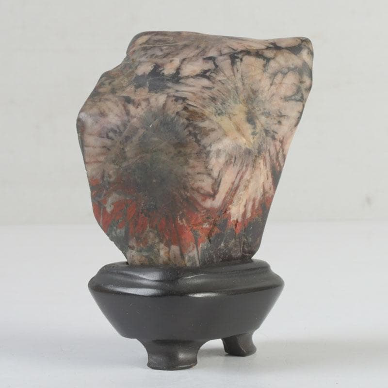 岐阜県根尾谷産　天然石　鑑賞石　菊花石　唐木台付　書付共箱　V　9425