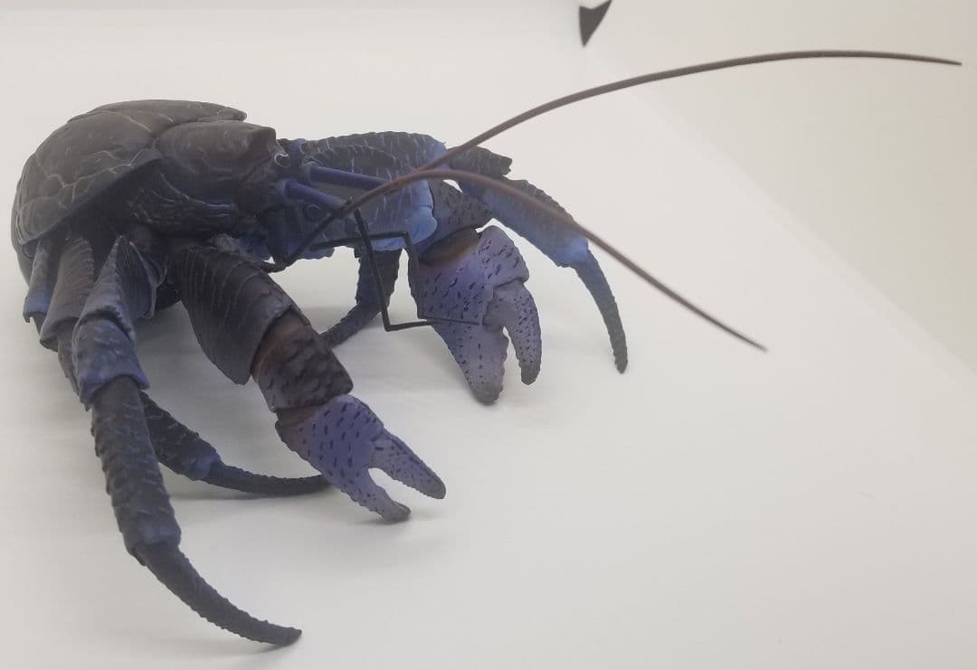 いきもの大図鑑プレミアム　ヤシガニ