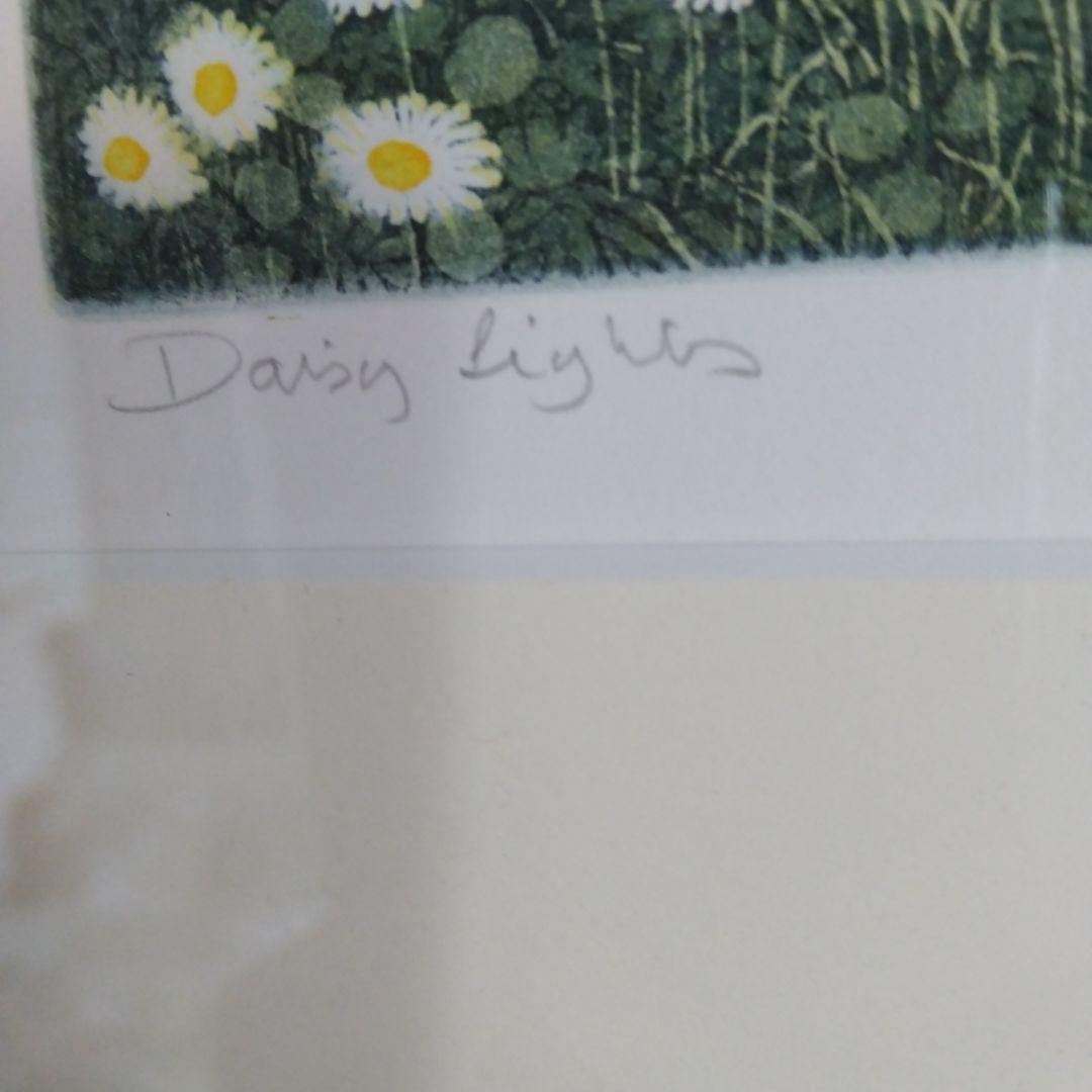 【超希少】Daisy Lights 版画 Greenwood1976 90/36