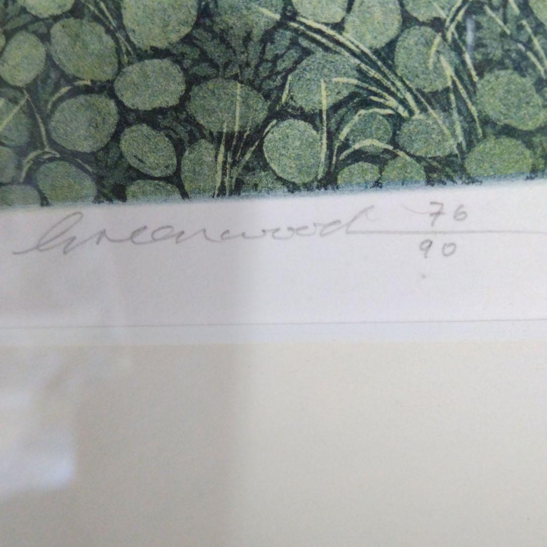 【超希少】Daisy Lights 版画 Greenwood1976 90/36