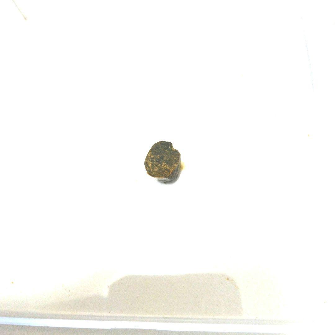 最高級タニ沈香0.68g