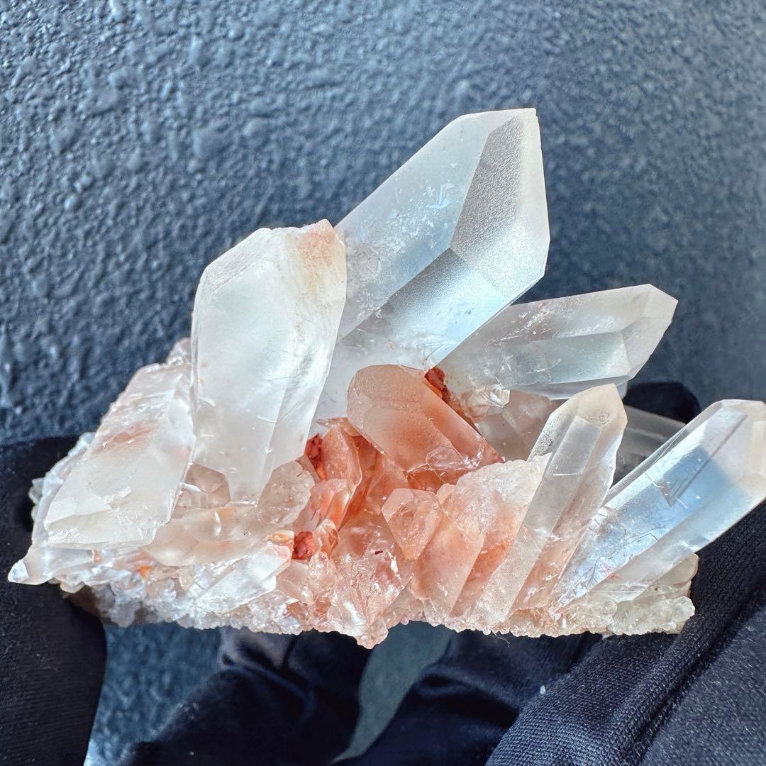 ぽんぽん♪様 専用 ヒマラヤクラスター A1168、A1244、A1185