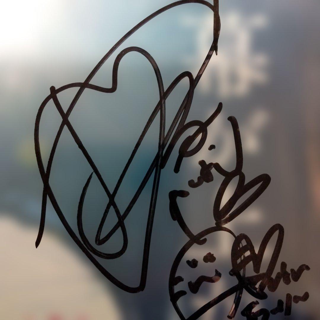 幕が上がる(全メンバーサイン入り) メンバー全員のサイン入りDVDになります。