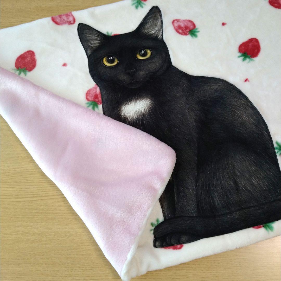 ゆきそら様☆お値下げ中☆コヤンイサムチョン☆ミニブランケット　フランネルいちご