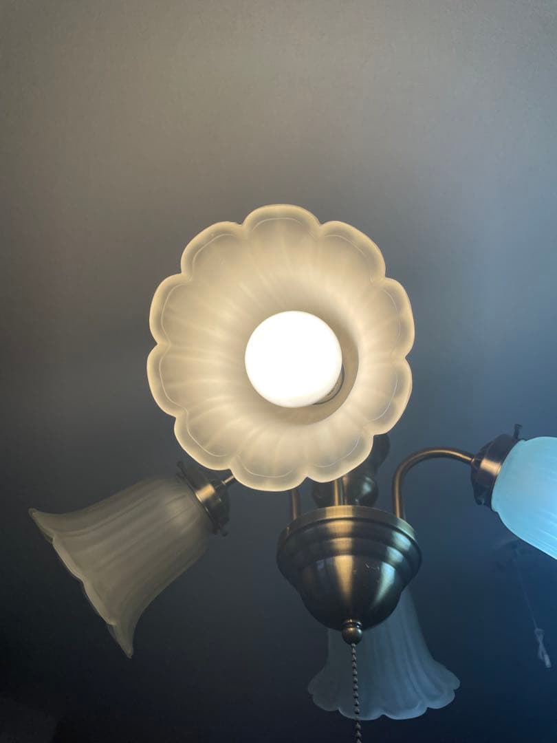 フラワー型シェード 4灯シーリングライト