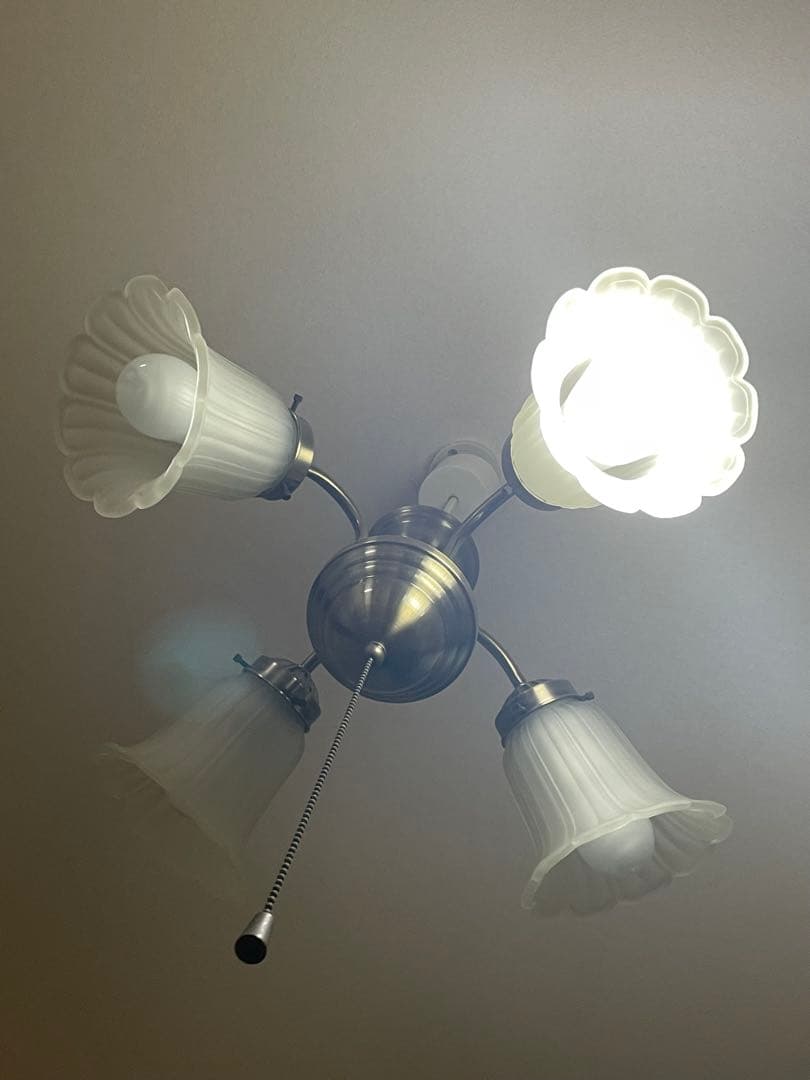 フラワー型シェード 4灯シーリングライト