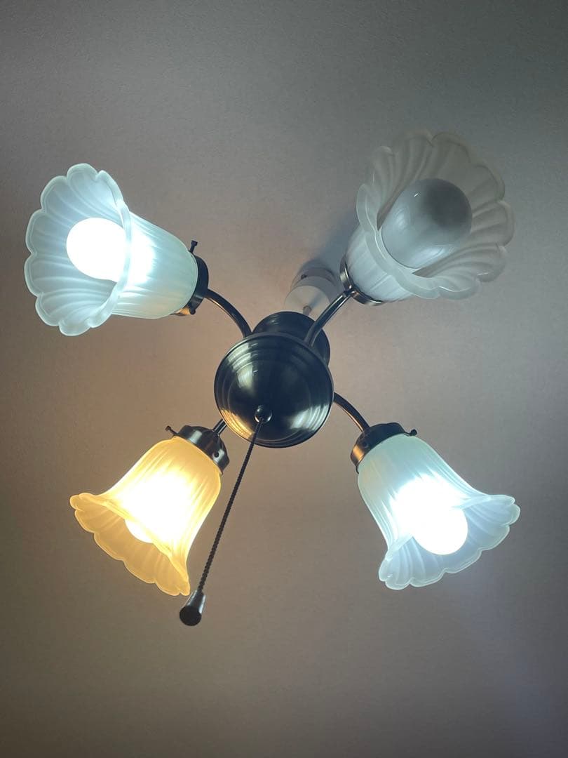 フラワー型シェード 4灯シーリングライト