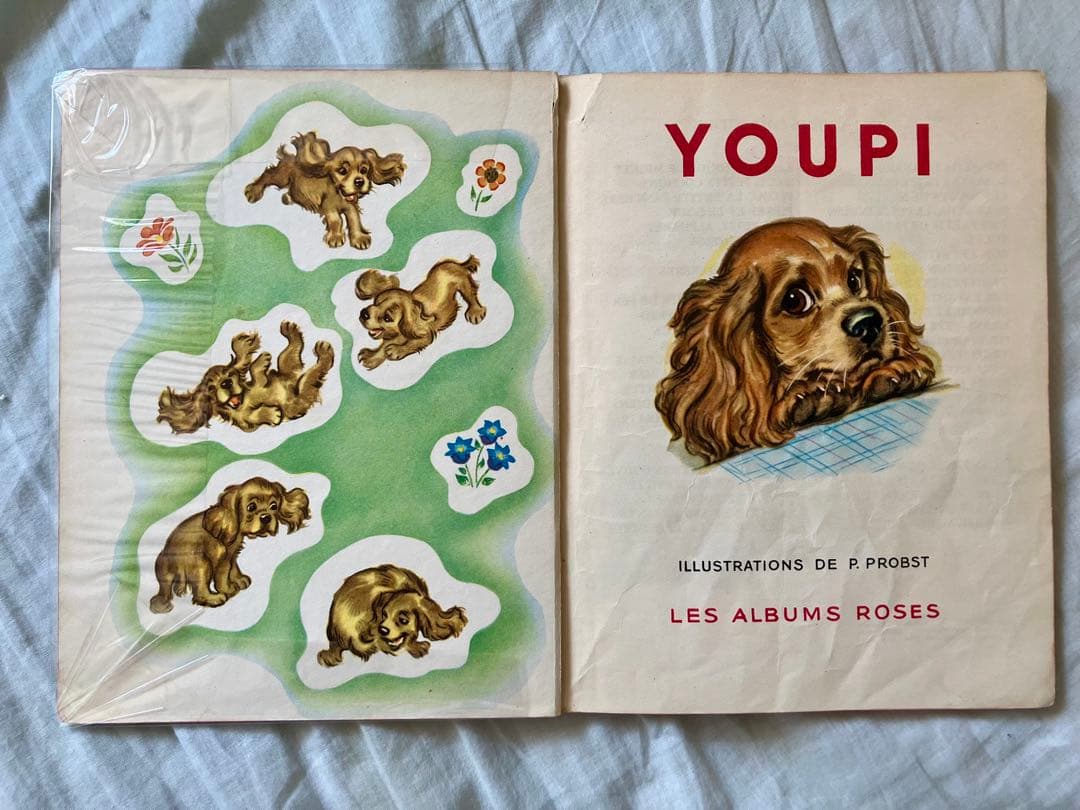 超希少】ピエール・プロブスト BOBIなど 1950年代フランス絵本8冊セット