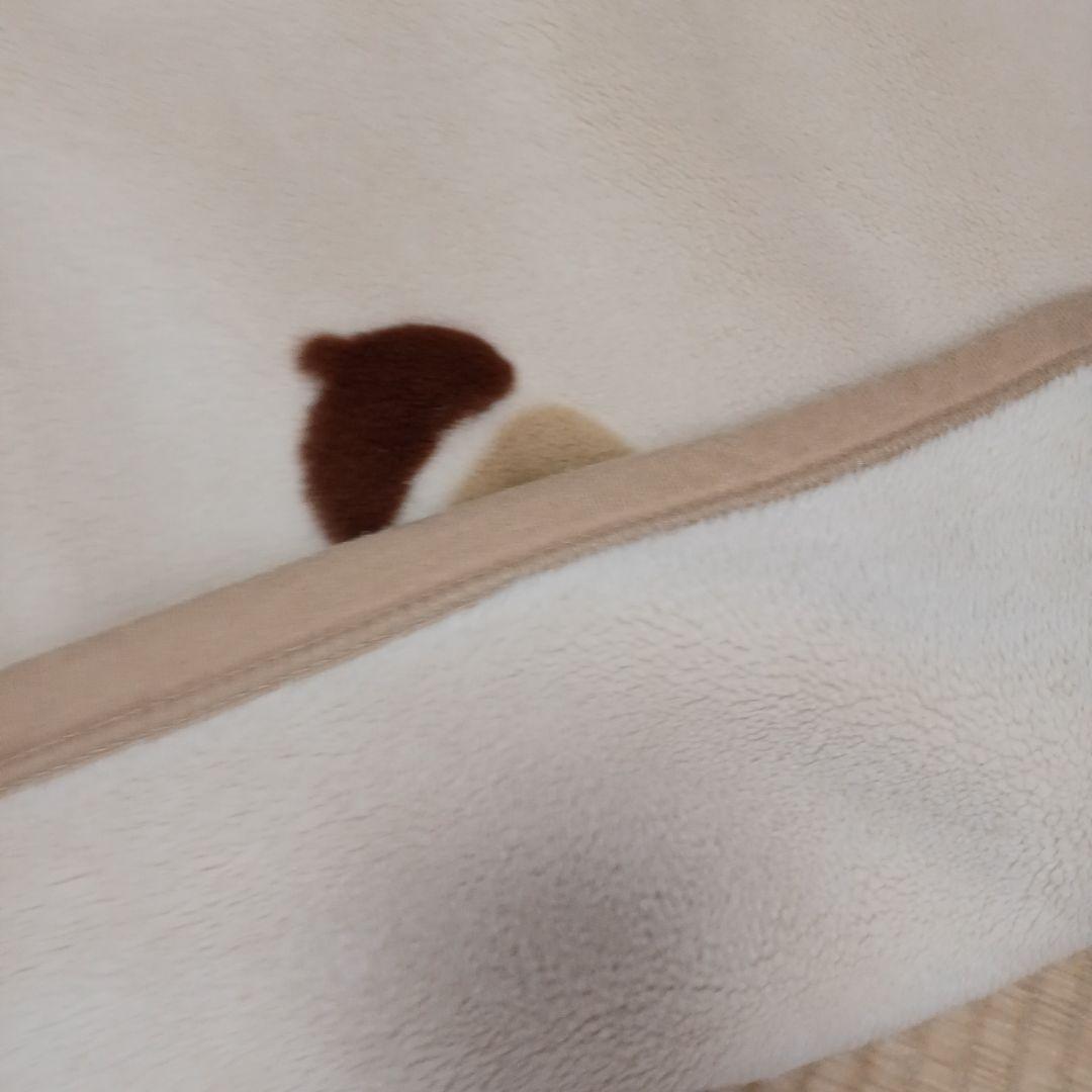 トトロ毛布 140cm×200cm 希少デザイン　　ジブリ　シングル　レア　希少
