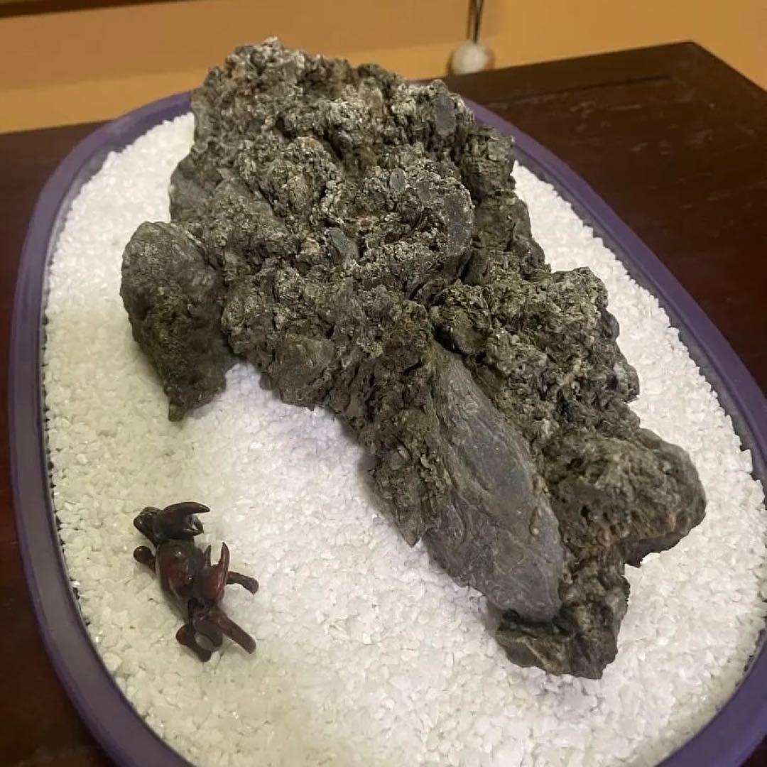 水石 鑑賞石 八溝石 和風インテリア オブジェ アクアリウム 水槽石 置物