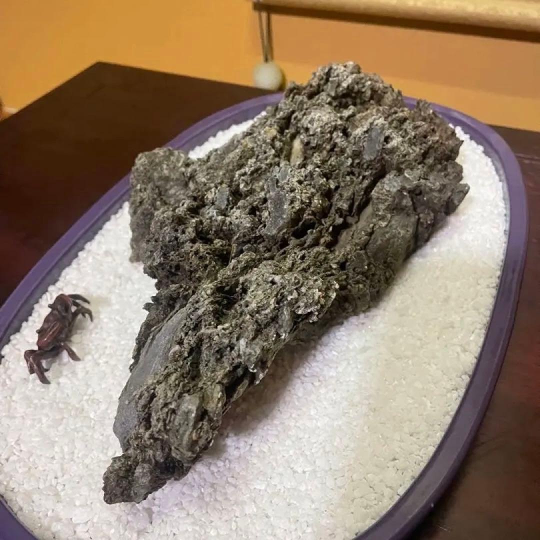 水石 鑑賞石 八溝石 和風インテリア オブジェ アクアリウム 水槽石 置物