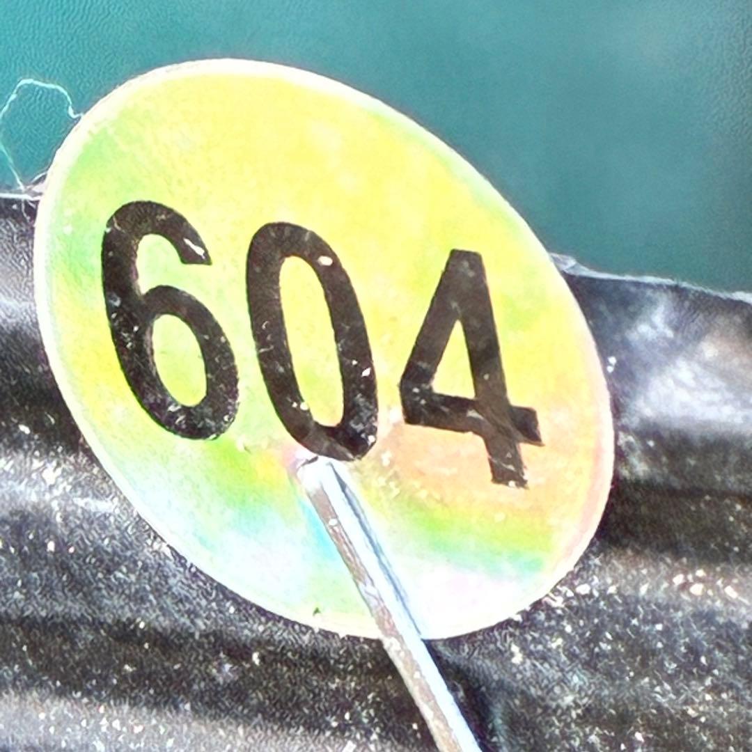 ま*️様 ❤️根充実❤️沢山新芽元気株❤️604⭐️超レア極上発色⭐️乳白色 【