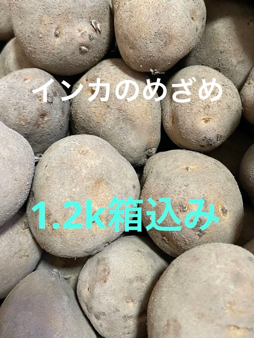 インカのめざめ 種芋 1.2kg箱込み - メルカリ