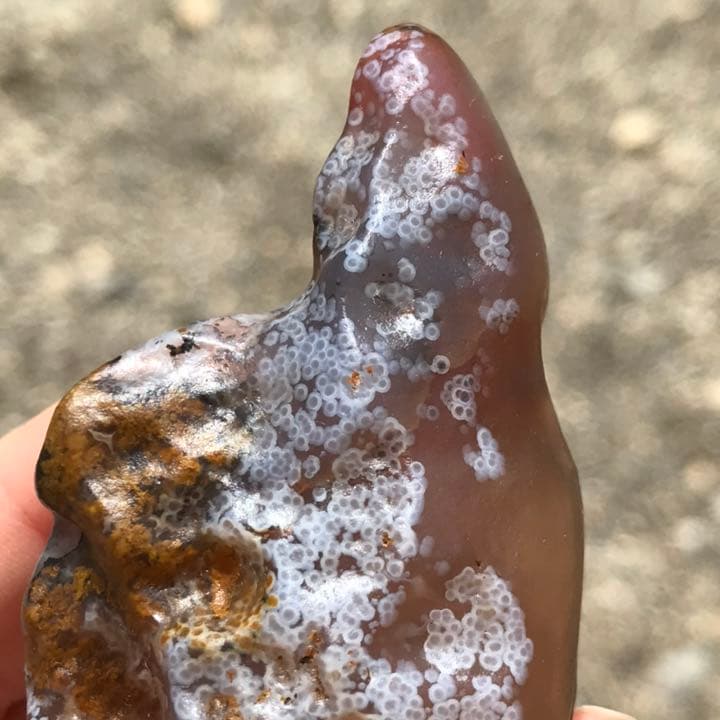 ゴビ石−936 ゴビ瑪瑙　花眼　原石