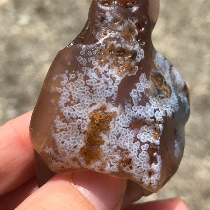 ゴビ石−936 ゴビ瑪瑙　花眼　原石