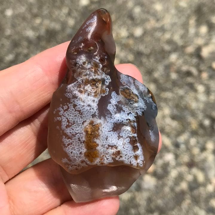 ゴビ石−936 ゴビ瑪瑙　花眼　原石