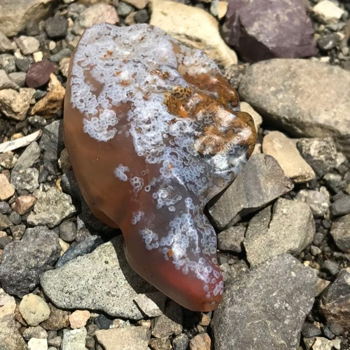 ゴビ石−936 ゴビ瑪瑙　花眼　原石