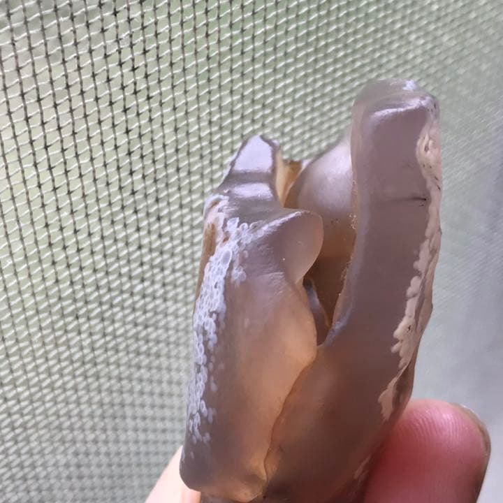 ゴビ石−936 ゴビ瑪瑙　花眼　原石