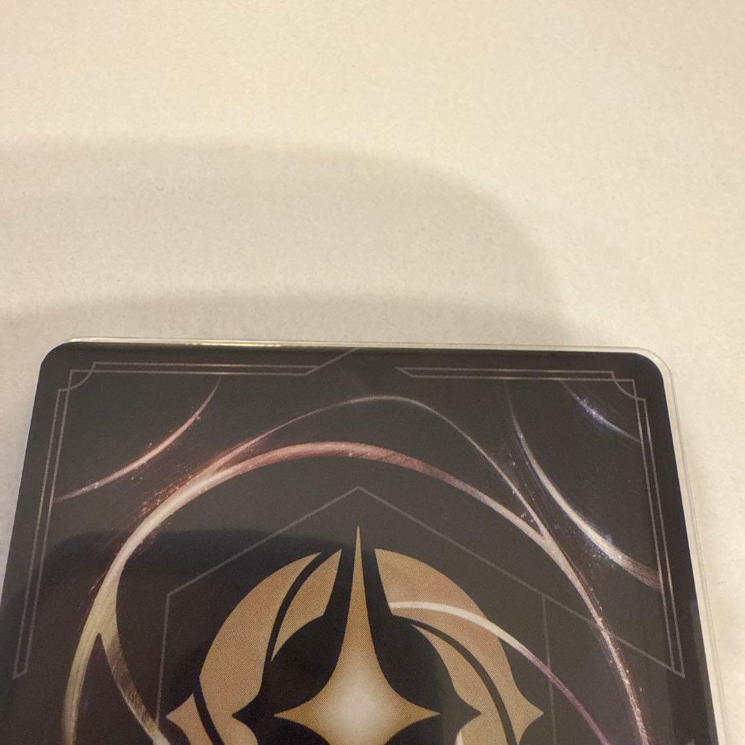 アナ　エンチャンテッド　ディズニーロルカナ