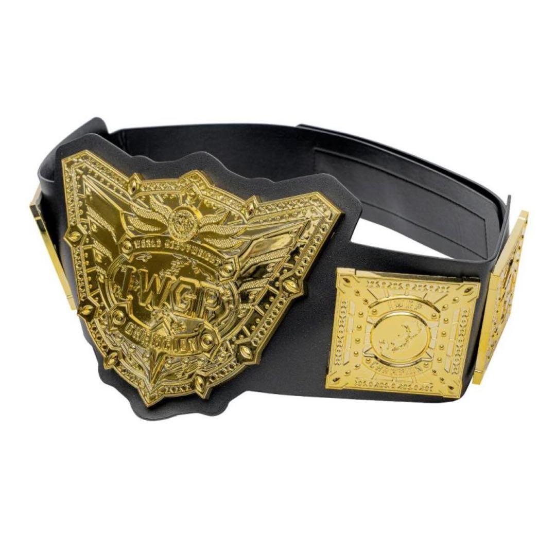 IWGP 世界ヘビー級プラスチックチャンピオンベルト★新日本プロレス NJPW