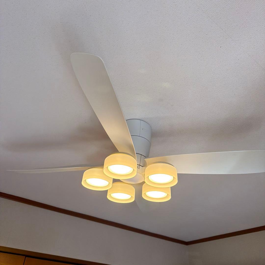 ODELIC WF 812 DC静音ファン 823LDライトセット