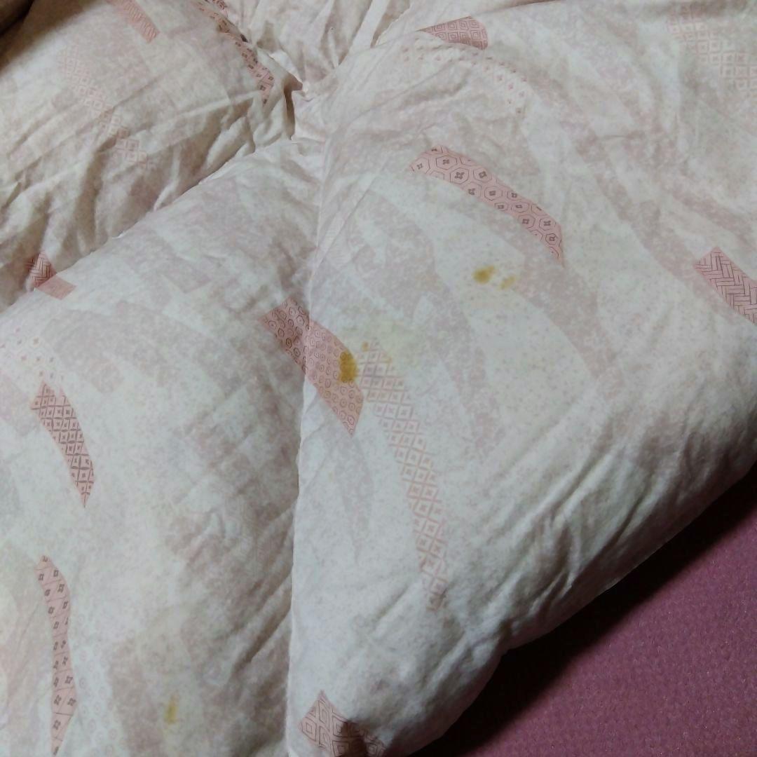 羽毛掛け布団 ダブル 200×220　　 ダウン80%フェザー20% 布団袋あり