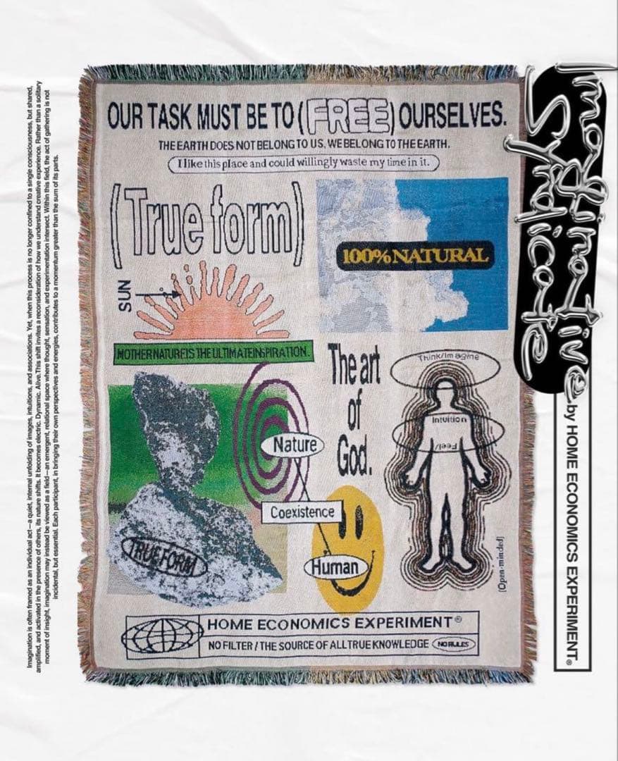 HOME ECONOMICS EXPERIMENT ラグ マット - メルカリ