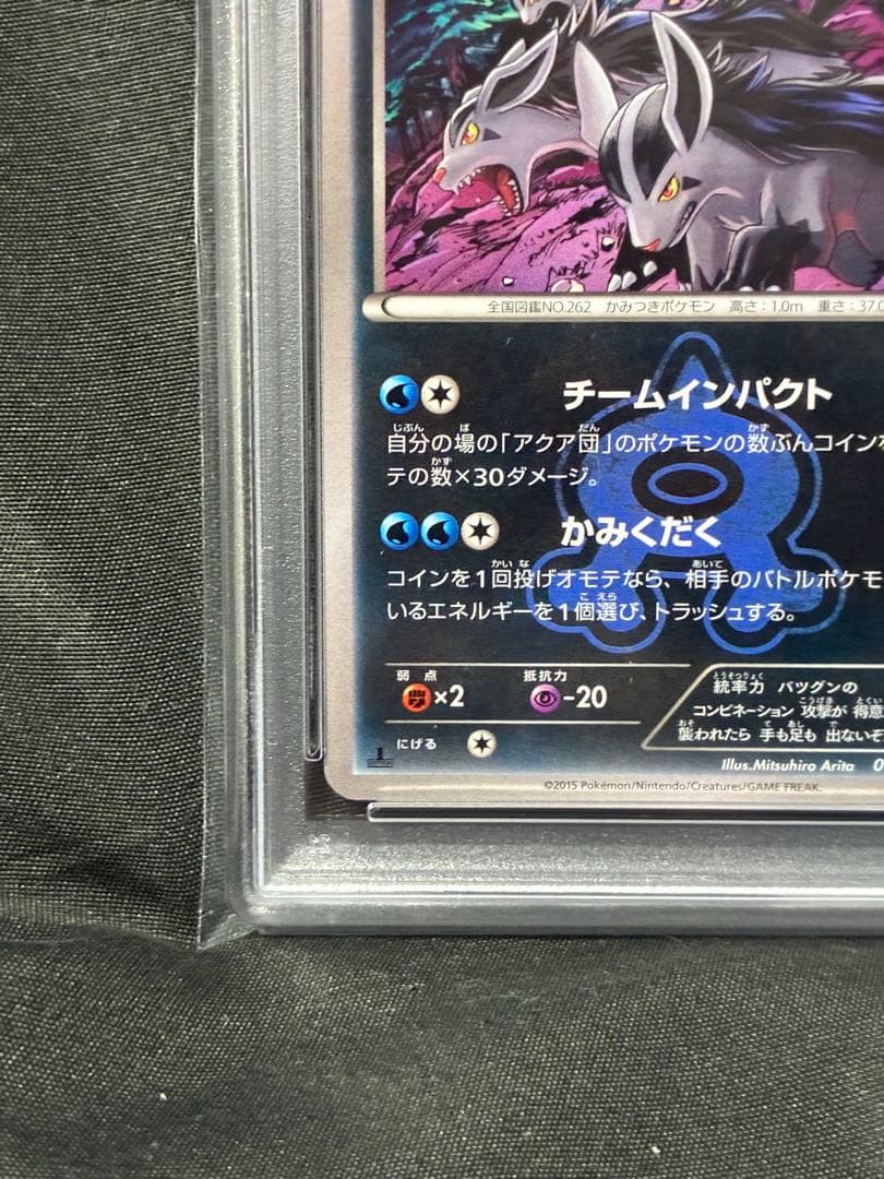 世界19枚 PSA10 アクア団のグラエナ 2015 018 9